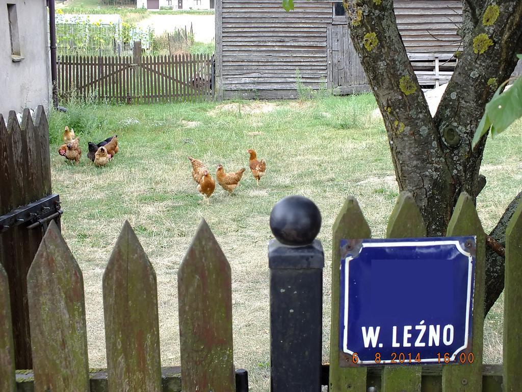 Agroturystyka Wielkie Lezno Exterior foto